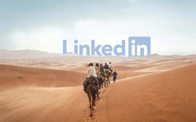 Les guidelines LinkedIn 2024