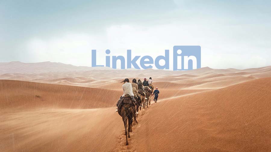 Les guidelines LinkedIn 2024